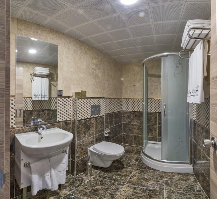 سرویس بهداشتی