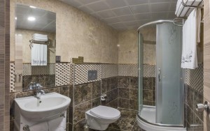 سرویس بهداشتی