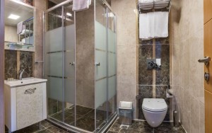 سرویس بهداشتی