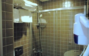 سرویس بهداشتی