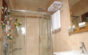 سرویس بهداشتی