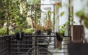 ویو هتل ویو هتل