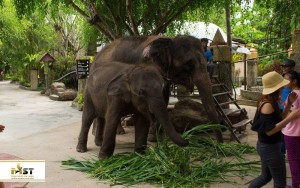 باغ‌وحش پوکت