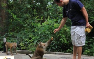 باغ‌وحش پوکت