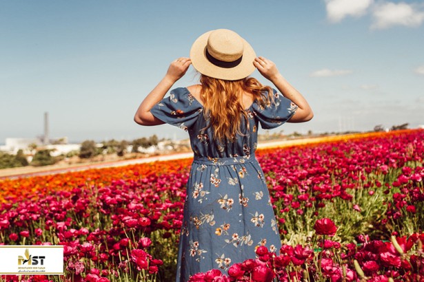 معرفی ۱۰ دشت پر گل و زیبا در دنیا