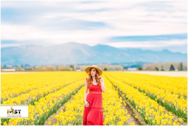 معرفی فستیوال‌های مربوط به گل‌های لاله در تمام دنیا