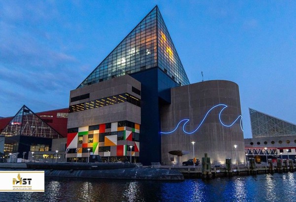 بزرگترین آکواریوم‌های جهان را بشناسیم