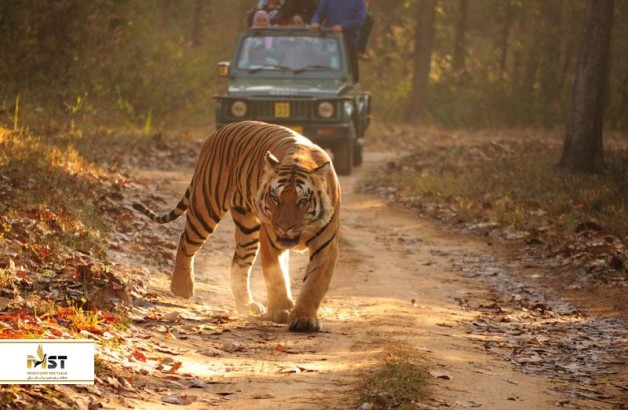 ۸ مکان عالی برای تماشای حیات وحشِ جنوب شرق آسیا ۸ مکان عالی برای تماشای حیات وحشِ جنوب شرق آسیا