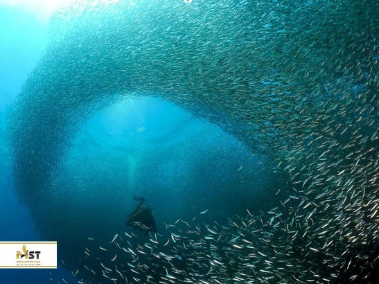 جذاب‌ترین فعالیت‌های کوله‌گردی در جنوب شرقی آسیا