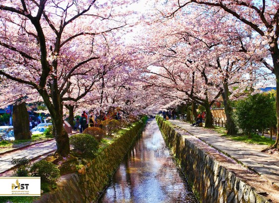 ۲۰ خیابان معروف در دنیا (بخش اول) ۲۰ خیابان معروف در دنیا (بخش اول)