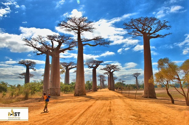 ۷ کشور جزیرهای در اقیانوس هند ۷ کشور جزیرهای در اقیانوس هند