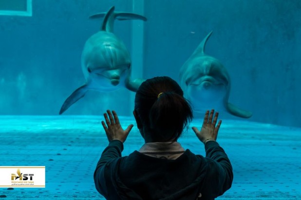 با بزرگترین و شگفتانگیزترین آکواریومهای جهان آشنا شوید با بزرگترین و شگفتانگیزترین آکواریومهای جهان آشنا شوید