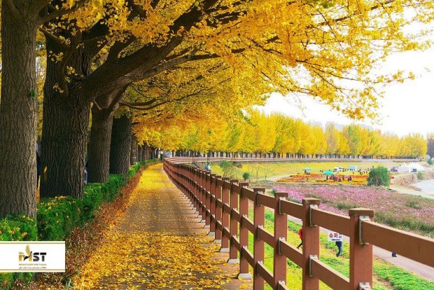 زیباترین نقاط آسیا برای سفر پاییزی زیباترین نقاط آسیا برای سفر پاییزی