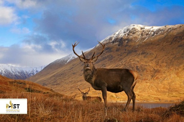 زیباترین پارک‌های ملی جهان را بشناسید