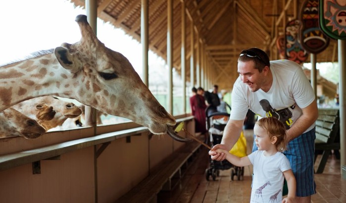 بهترین سافاری های دنیا