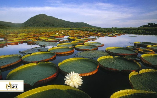 زیباترین کشورهای دنیا با مناظر طبیعی و رویایی زیباترین کشورهای دنیا با مناظر طبیعی و رویایی