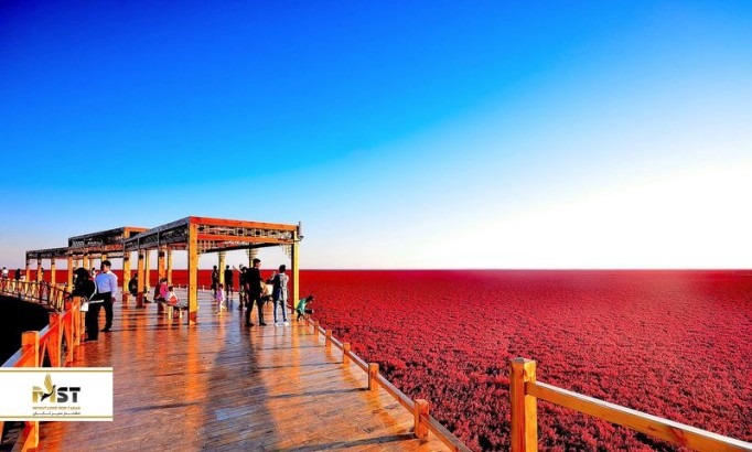 گشتی در رنگارنگترین مناظر طبیعی دنیا گشتی در رنگارنگترین مناظر طبیعی دنیا