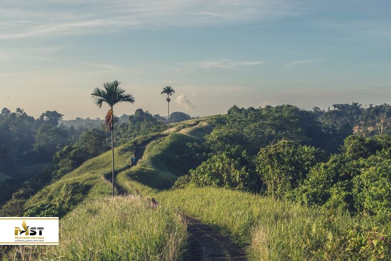 تپههای کامپوهانگ