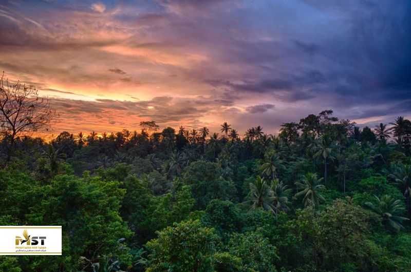 پارک ملی غرب بالی