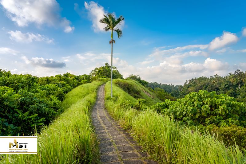 پل طبیعت کمپوهان بالی