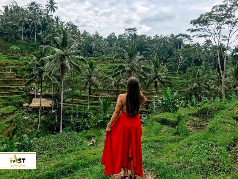 منطقه ابود Ubud