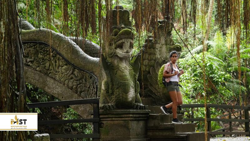 میمون&zwnj;های جنگل مقدس