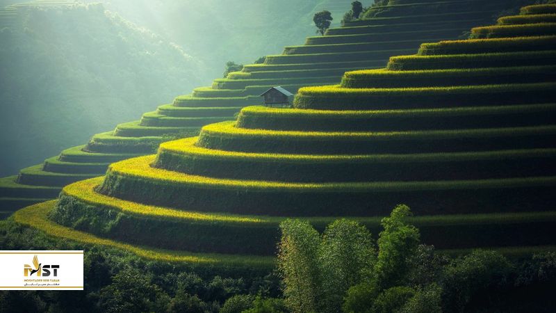 سفر به بالی