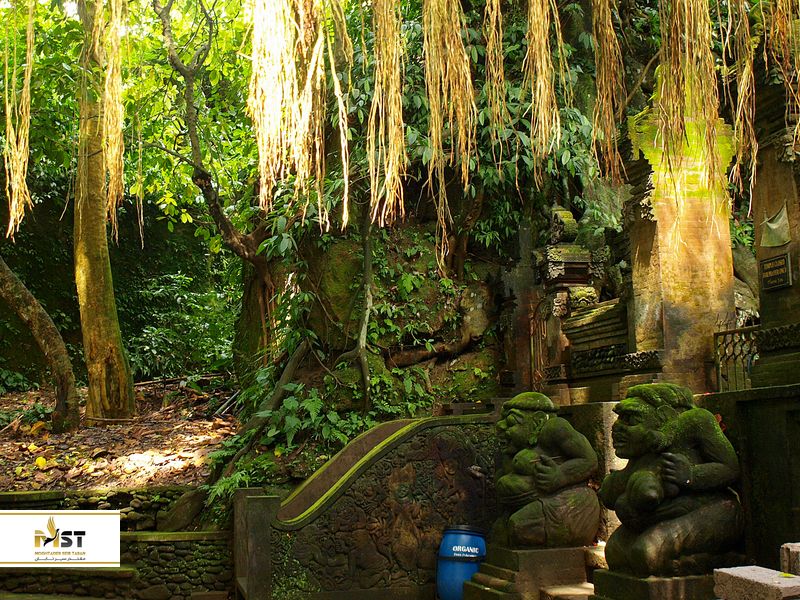 جنگل میمون&zwnj;های اوبود