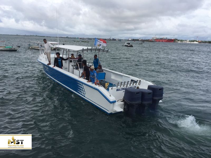 رفت و آمد در بالی