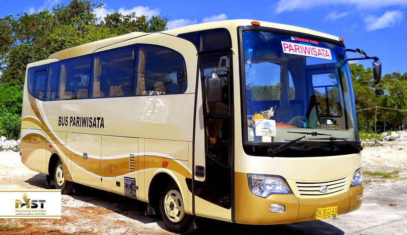 رفت و آمد در بالی