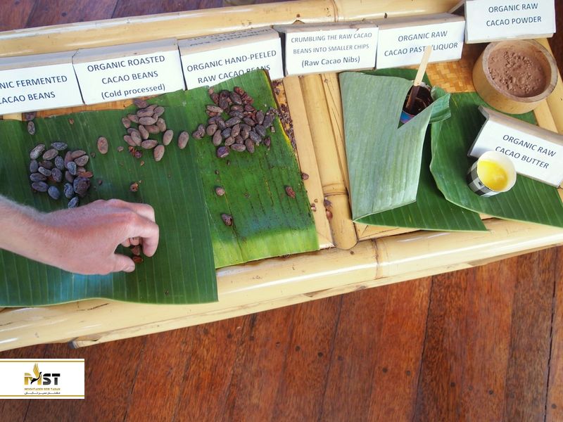 Big Tree Farms Bamboo