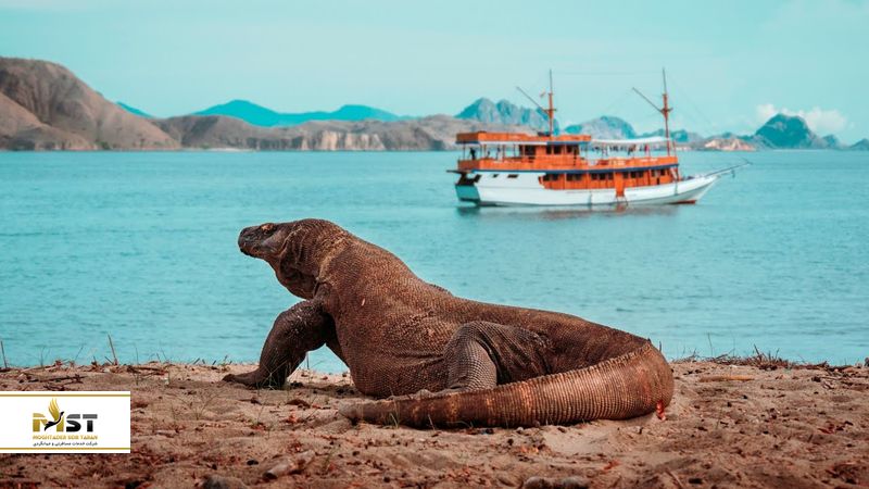 جزیره Komodo