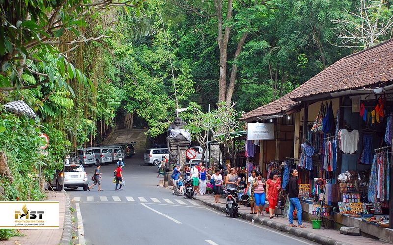 خیابان جنگل میمون