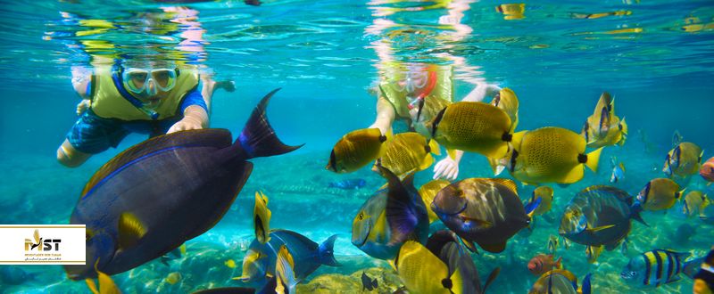 سفر به بالی