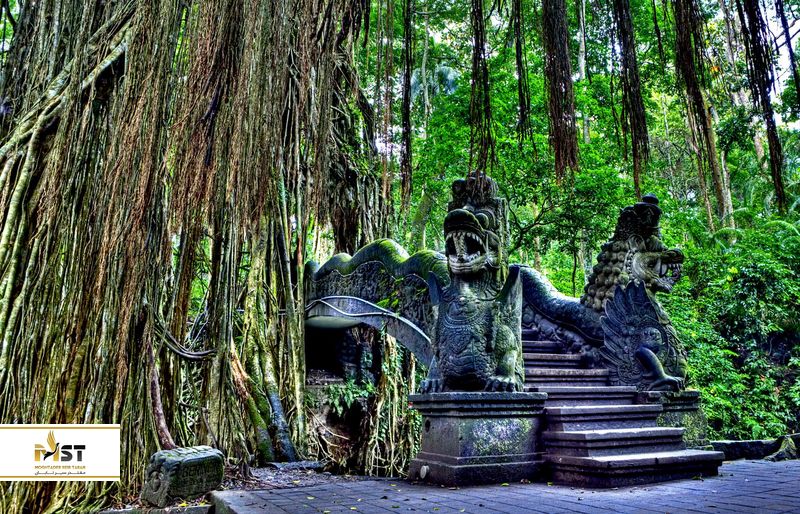 جنگل میمون مقدس