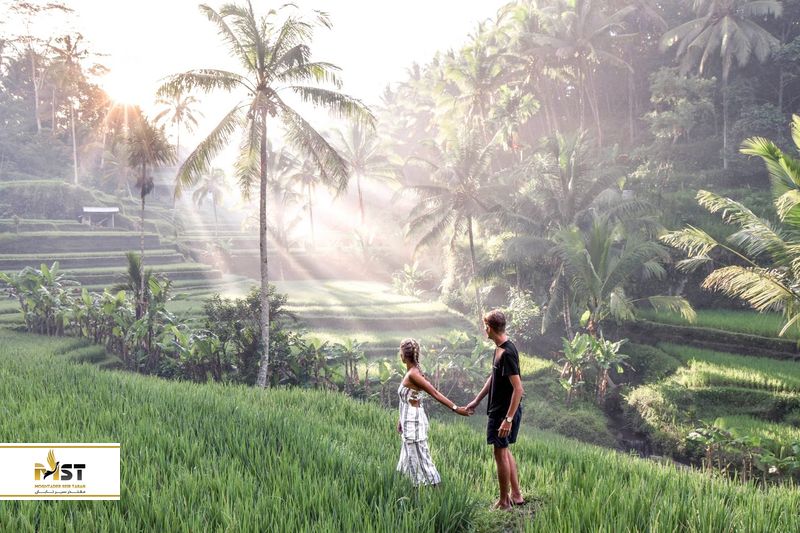 مزرع برنج تگالانگ