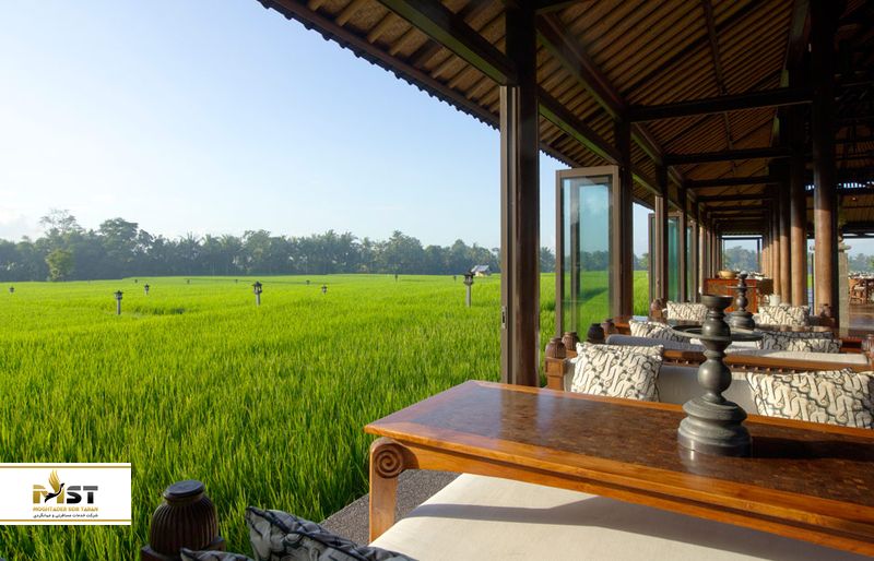 The Elephant Restaurant