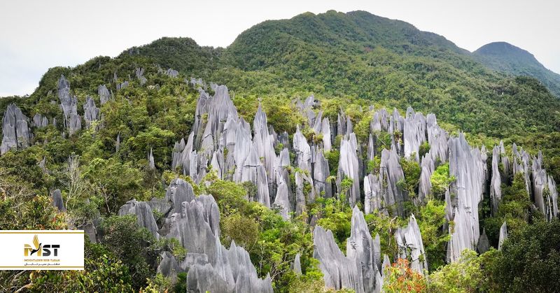  پارک ملی مولو