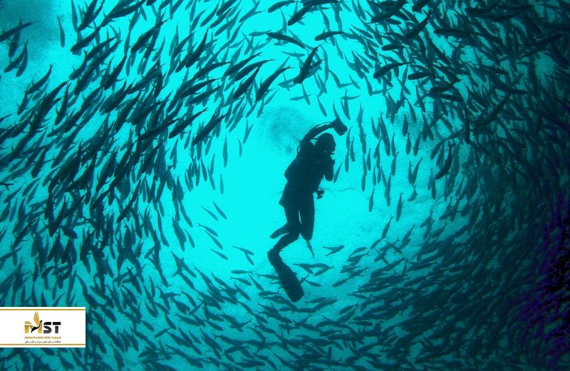 جزیره سیپادان