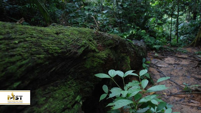 کوهنوردی در Datuk