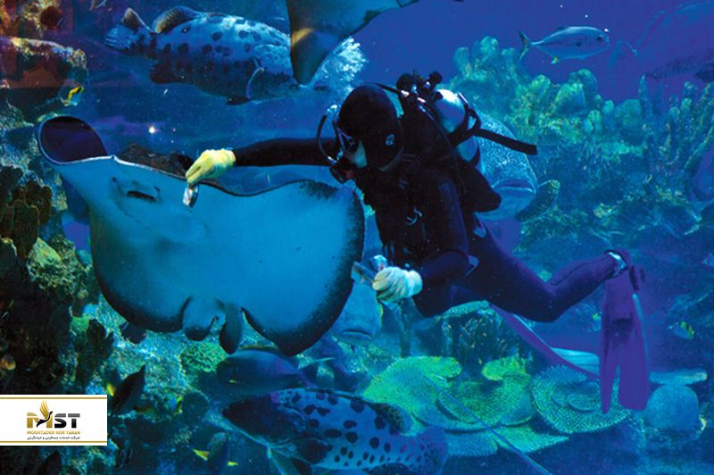 آکواریم در کوالالامپور