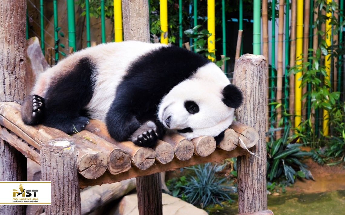 باغ وحش کولالامپور