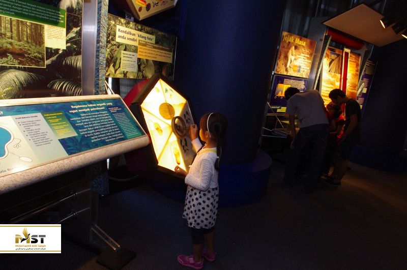Petrosains