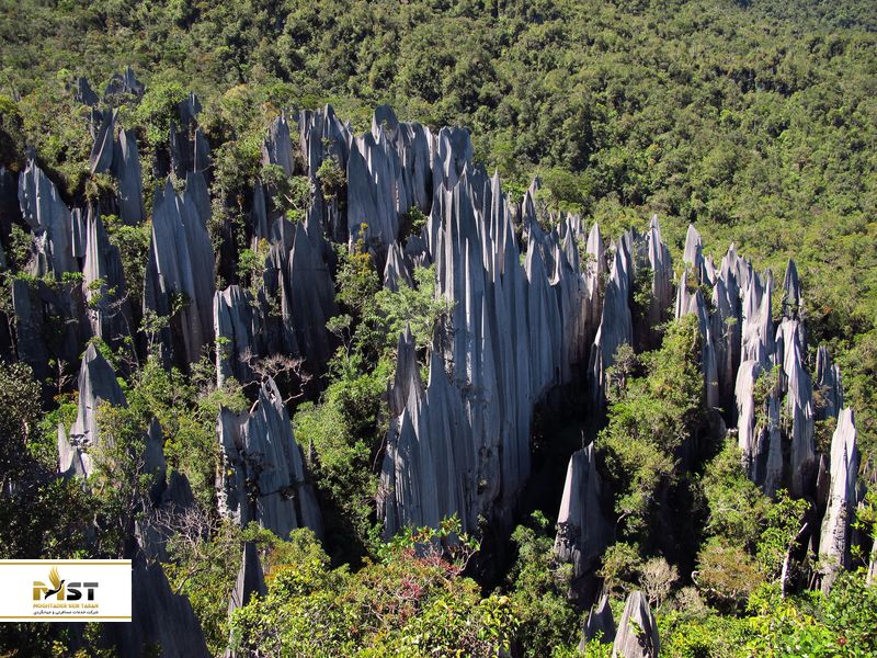 پارک ملی گونونگ مولو