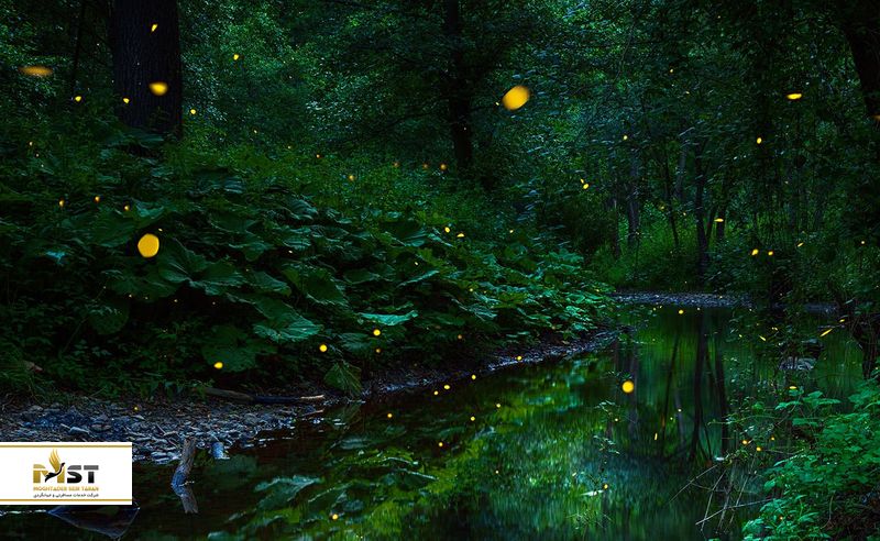 کوالا سلانگور