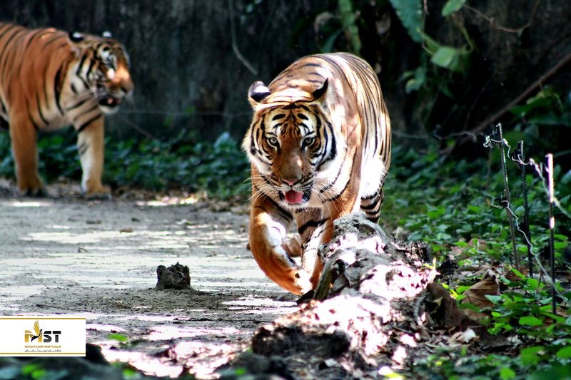 کوالالامپور