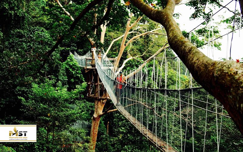 مرکز تحقیقات جنگلی کوالالامپور