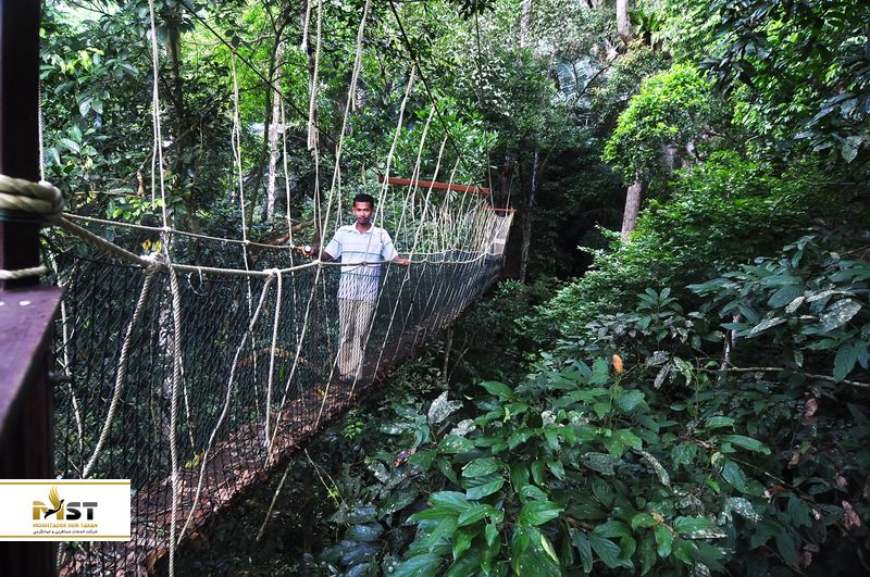 پارک Kenong Rimba