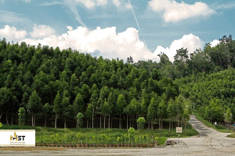 دره&zwnj;ی چایِ گاهارو