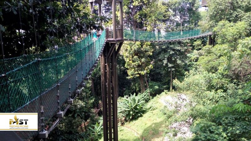 پارک جنگلی اکو